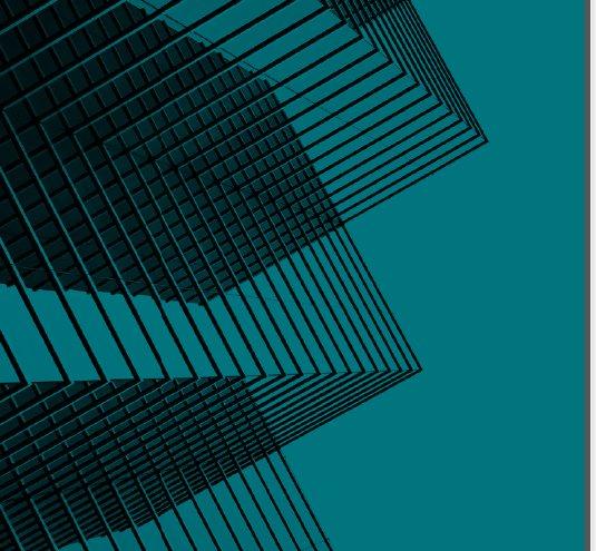 Open Data for Development at the UN World Data Forum